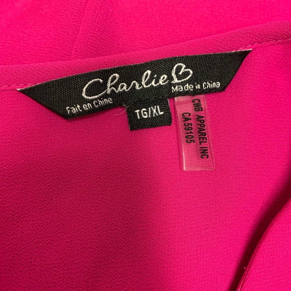 Charlie B Pink Chiffon Dress Size XL - Picture 7 of 13